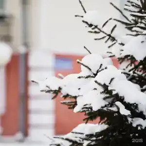 Электра - 51