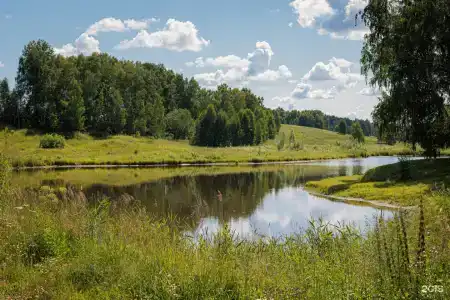 Мира Силентиум - 9
