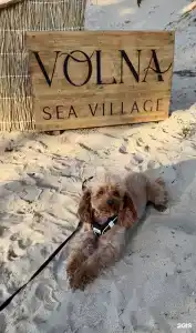 Volna Sea Village - 73