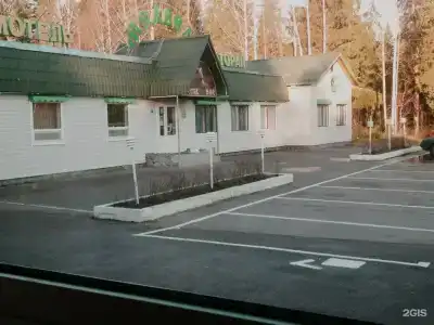 Медведь - 36