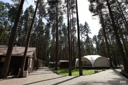 ДухЛес - 36