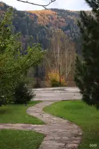 Барбарис - 8