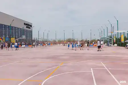 Volleygrad sports - 41