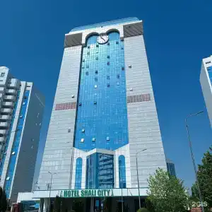 Шали-Сити - 11
