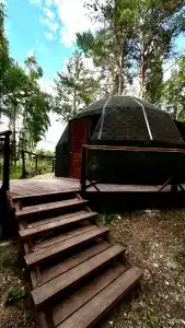 Кедровый Лафет - 18