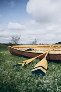 Альфа - 1