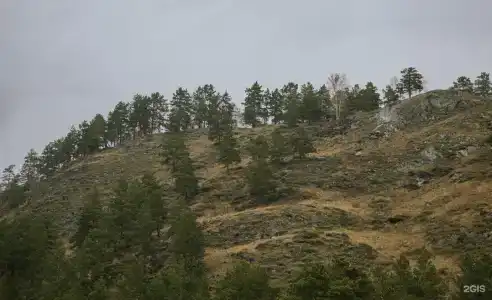 Ван 2 - 19