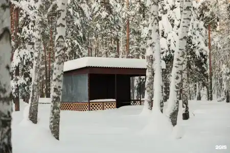Комета - 45
