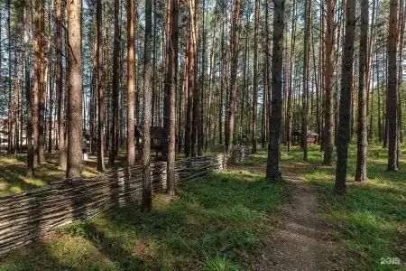 Евразия парк-отель - 36