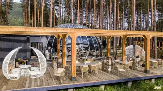 Pinewood resort & SPA - 20