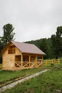 Золотой Кедр - 26
