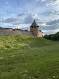 Три кота - 43