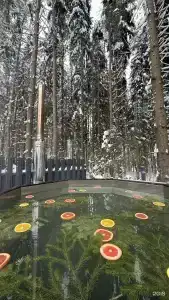 Просека - 14