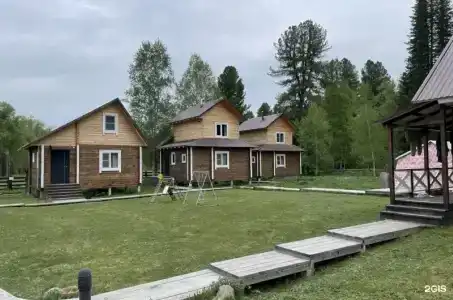 Тайга - 0