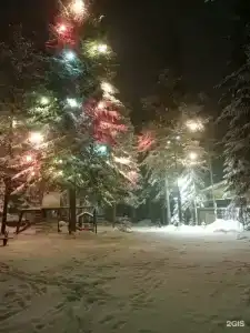Три медведя - 59