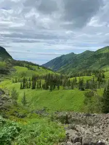 Звезда Мамая - 7