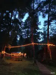 Думка - 10