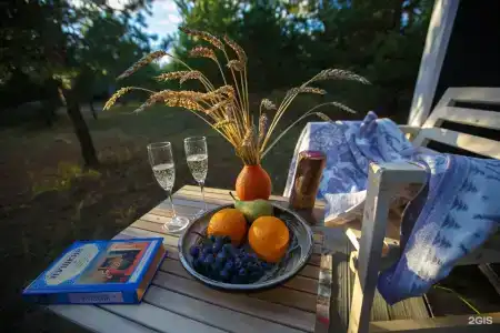 Грибная Находка - 23