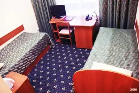 Кедр - 13