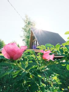 Sviyaga Glamp - 18