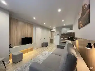 Чайка - 51