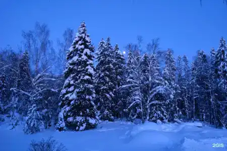 Хомяковское подворье - 30