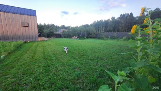 Chippa barn house - 7