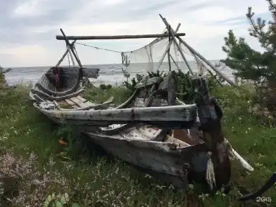 Кедр Грасс Белое Море - 104