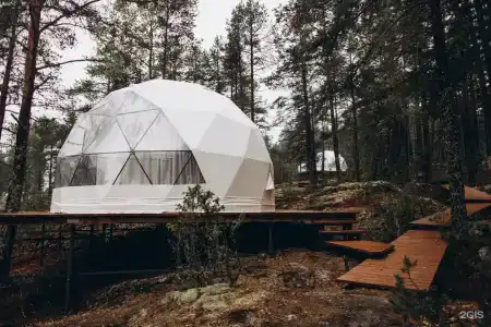 Грибная Находка - 24