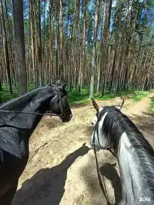 Эммаусс Волга Клаб - 126