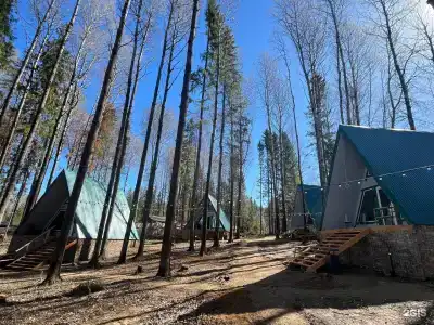 Поляна - 31