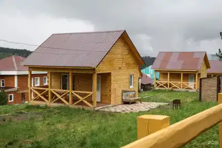 Золотой Кедр - 13