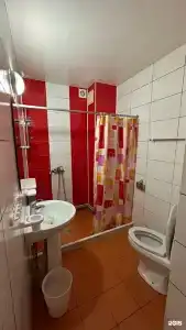 Адениум 585 - 80