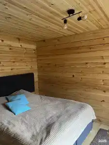 Облепиха - 6