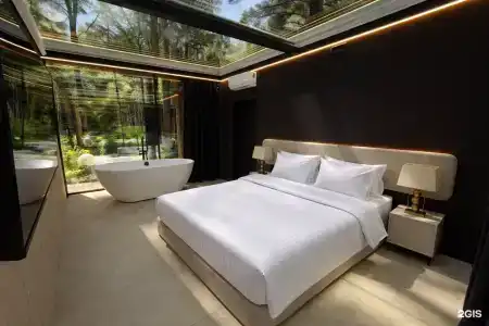 Pinewood resort & SPA - 13