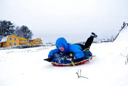 Ферма Подворье Лукино - 67