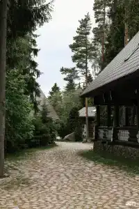 Утиный рай - 23