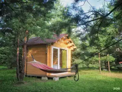 Грибная Находка - 12