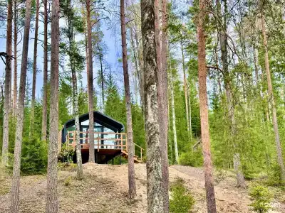 Журавушка - 31