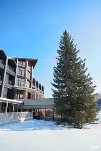 Alira Palace - 0