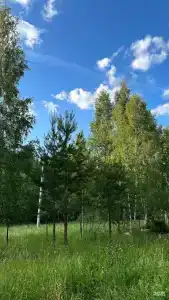 ИнноХаус - 12