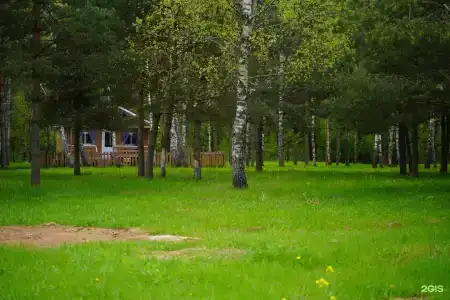 Золотой Куркозель - 7