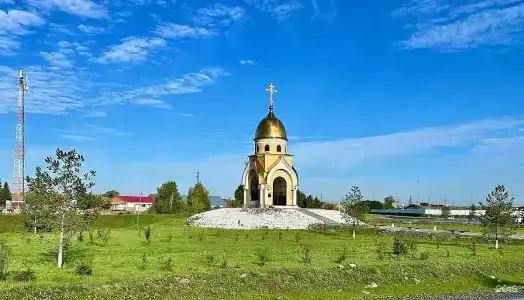 Березка - 8