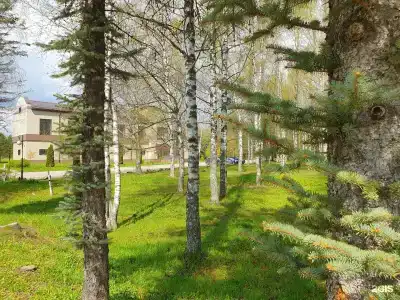 Углич - 67