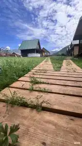 Сосновая - 0