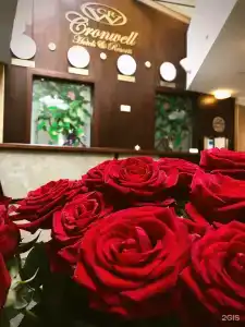 Cronwell Inn Стремянная - 48
