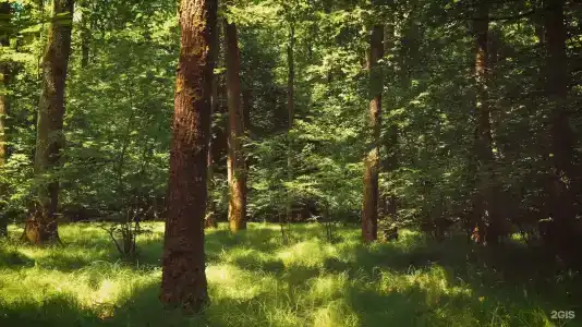Побег из города - 5