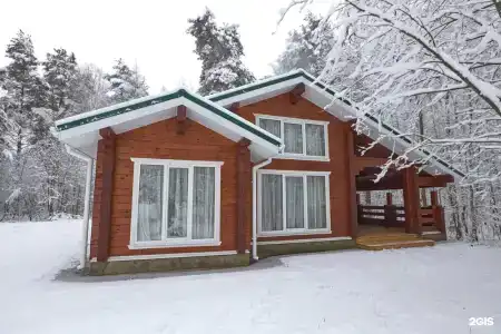 Вековые Сосны - 13