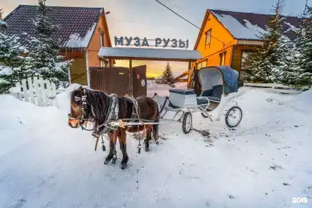 Муза Рузы - 26