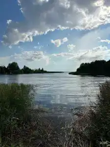 Кобона Rest - 0